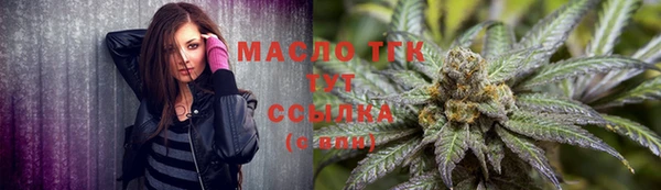 прущие крисы Ельня