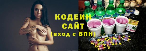 прущие крисы Ельня