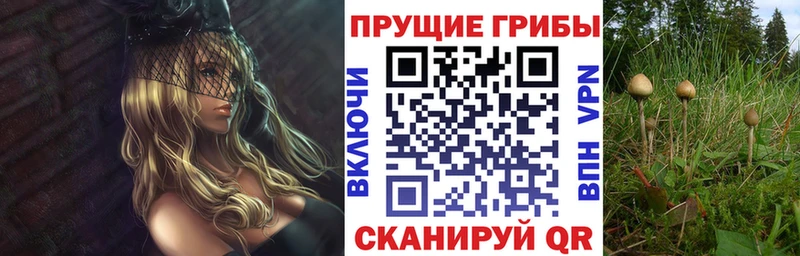 Купить закладки  Северо-Курильск  Галлюциногенные грибы Psilocybe 