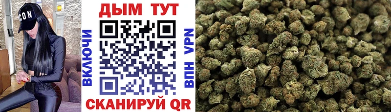 Канабис THC 21%  Купить где  Северо-Курильск 
